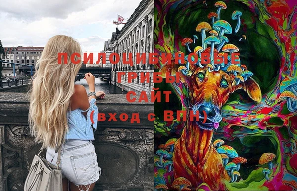 прущие крисы Магас