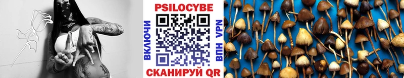 Псилоцибиновые грибы прущие грибы  сколько стоит  Княгинино 